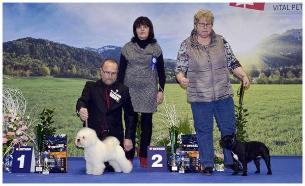 Nat. Show Brno, CZ - 10. 1. 2016 - judge: Mr. MVDr. V. Piskay, Slovakia and BIG judge Mrs. Z. Jilkova, CZ