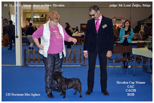 Intern. Show Nitra, Slovakia - 30. 11. 2014 - judge: Mr L. Zeljko, Serbia