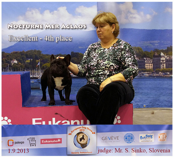 European Dog Show in Geneve, Switzerland - 1. 9. 2013, judge: Mr. S. Sinko, Slovenia