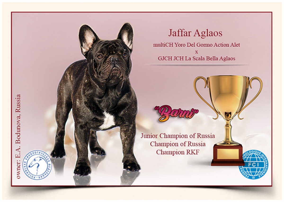 10.2. 2020 - Jaffar Aglaos - new russian Champion, RKF and Junior Champion